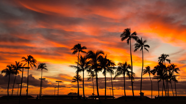 Hawaii sunset