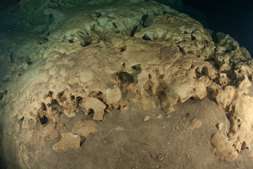 divers underwater caves diving Florida United States of America