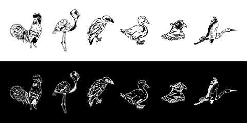 Hand-drawn pencil graphics, birds set