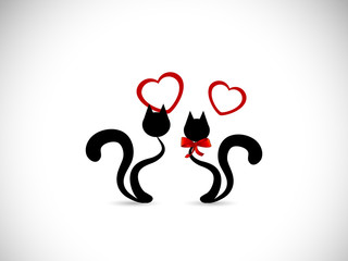 Cats in love