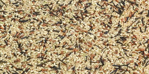 mixed wild rice background texture