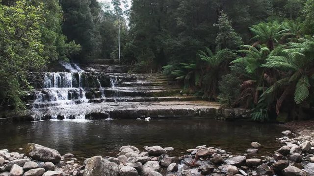 slow zoom in shot of liffey falls near deloraine in tasmania