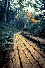 Fototapeta na wymiar A wooden pathway in Shiretoko Five lakes park hike, Hokkaido, Japan