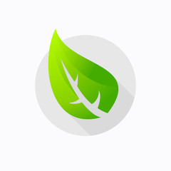 Obraz premium leaf green logo design