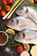 raw fish dorado and ingredient