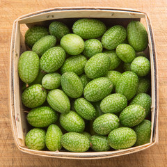 Cucamelon mini cucumbers in a pint container