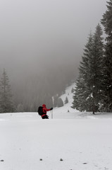 A tourist is walking through the winter foggy forest in Carpathian mountains