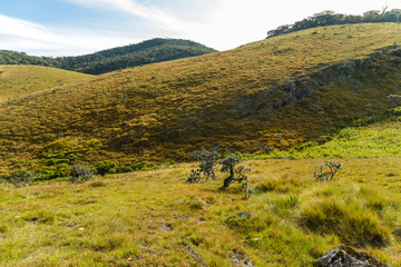 Obraz premium Landscape Hills Horton Plains National Park, Central highlands, Sri Lanka