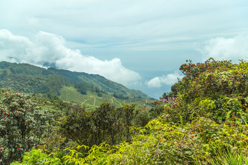 Horton Plains National Park highlands of Sri Lanka and is covered by montane grassland and cloud forest. Ceylon, Asia.