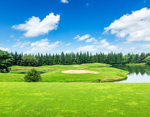 green meadow and trees with pond landscape in the nature park,beautiful summer season