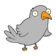cartoon bird