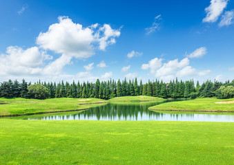 green meadow and trees with pond landscape in the nature park,beautiful summer season