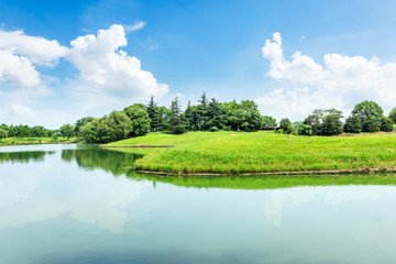 green meadow and trees with lake landscape in the nature park,beautiful summer season