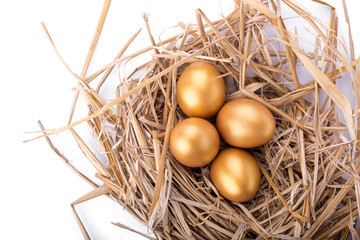 Golden egg inside a nest isolated on white background