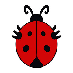 cartoon ladybug