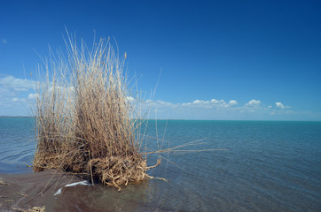 Balkhash lake, central Kazakhstan.  
