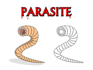 Parasitic nematode worms in vector cartoon design