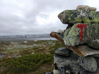 The Norwegian Toriust unions infamous T