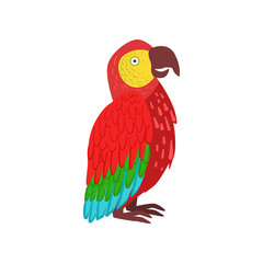 Red macaw parrot vector Illustration