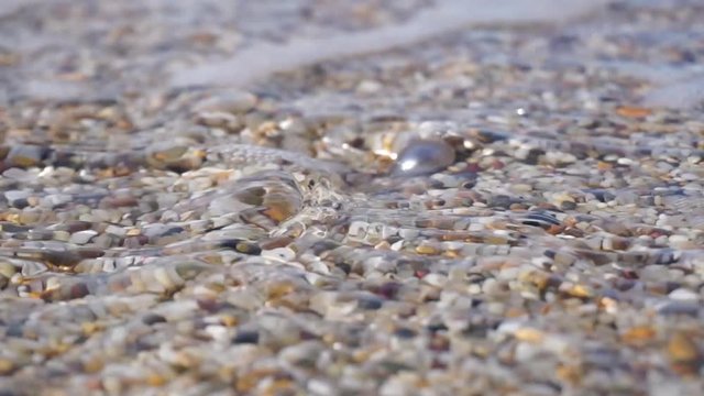 Tahitian gray pearl on the beach and pushed by a sea wave.