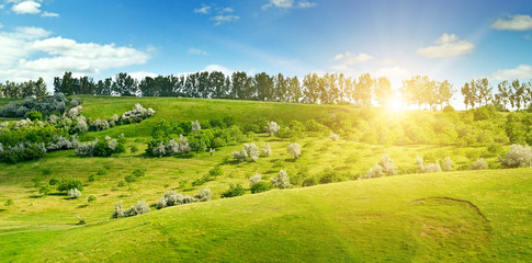 Hilly green fields and the sun on a blue sky. Wide photo.