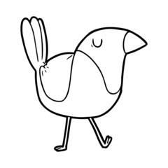 cartoon bird