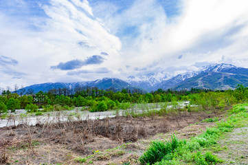 Fototapeta premium 山