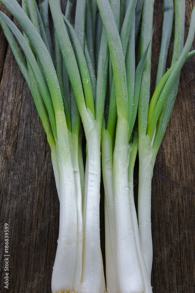 Poster Onion is a very important seasoning for cooking spices, fresh long onions, on the table in the wood,