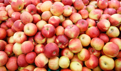 red ripe apples on the market