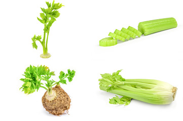 Group of celeriac isolated on a white background cutout