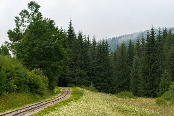 Fototapeta na wymiar Railroad through forest