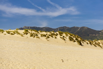 Fototapeta na wymiar Sand dunes on the beach against the background of mountains. Tarifa. Spain.