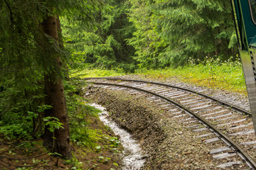 Obraz premium Railroad through forest