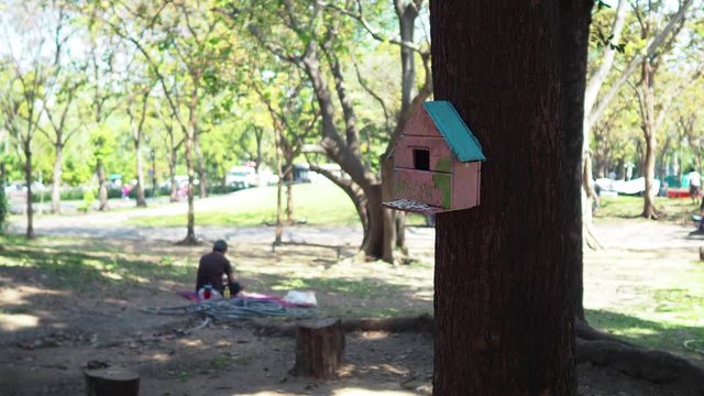 Colorful birdhouse in urban garden.