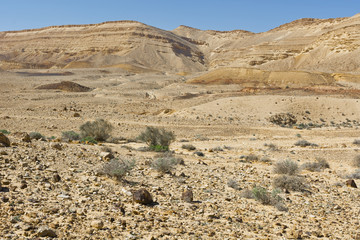 Fototapeta na wymiar Rock formations in Israel desert