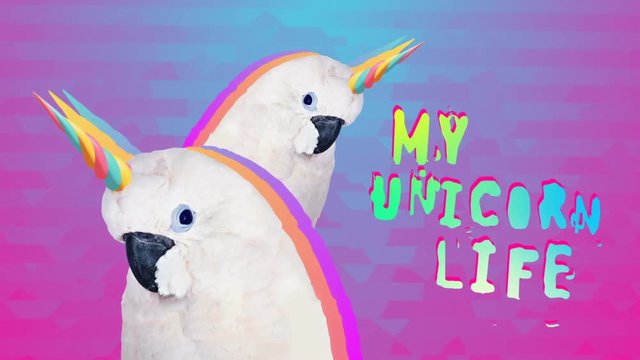 Minimal Motion art.  Fashion
Parrots my Unicorn life
