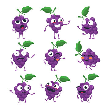 Funny bunch of grapes - vector isolated cartoon emoticons