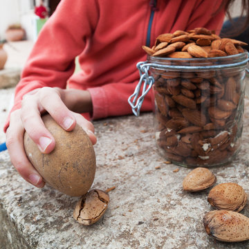 cassage des amandes
