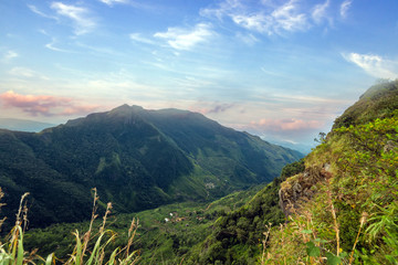 Sri Lanka – landscape cloud forest of the Horton Plains National Park, view from World's End.