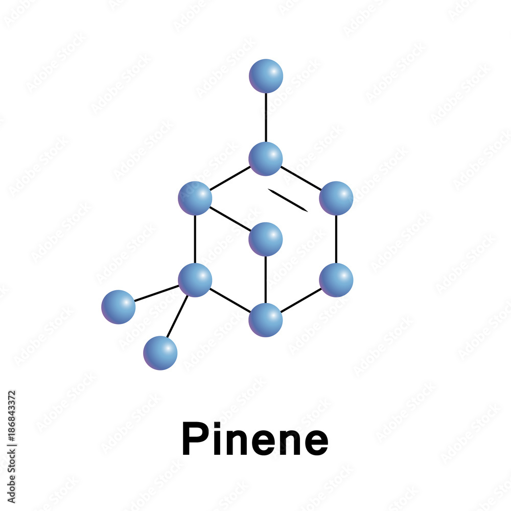 Wall mural Pinene is a bicyclic monoterpene