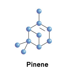 Obraz premium Pinene is a bicyclic monoterpene