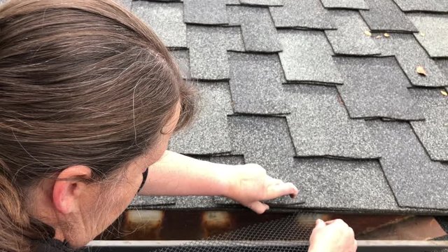 4K HD video of Older female sitting on the roof installing mesh leaf guard over rain gutters under shingle roof. A debris clogged gutter can cause a leaky roof or water damage to a home. 
