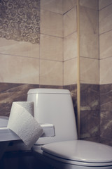 a roll of toilet paper on the background of toilet. On the edge of the bath. The tiles and the toilet in the background blur.