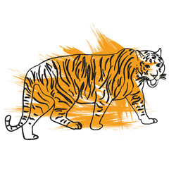 vector, isolated sketch of a tiger is coming