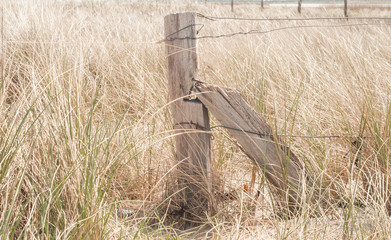 Holzzaun auf Fehmarn am Strand