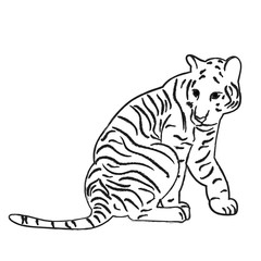 Fototapeta na wymiar vector, isolated sketch of a tiger sitting
