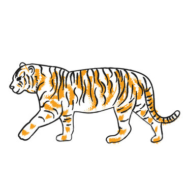 isolated sketch of a tiger is coming