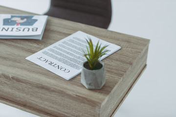 green plant and contract on wooden table on gray