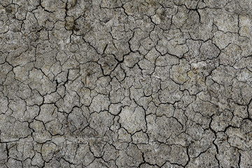 The soil is dry and cracked texture. Abstract background
