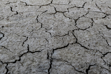 The soil is dry and cracked texture. Abstract background